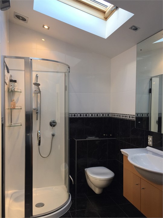 Shower, toilet vanity w skylight - very private