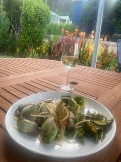 Pippies collected from sea out front