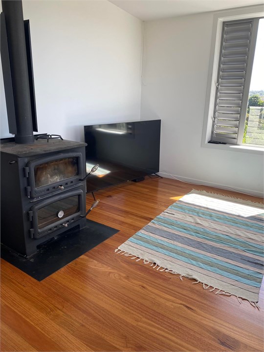 TV and fire place (cook oven)