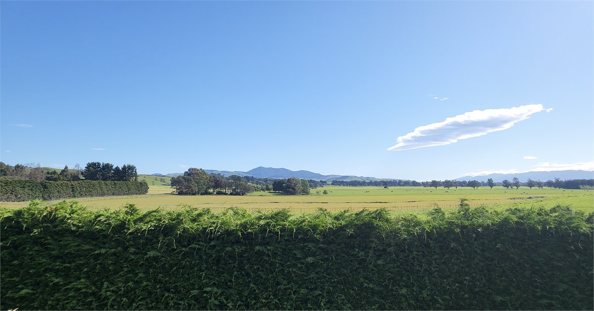 Beautiful rural views