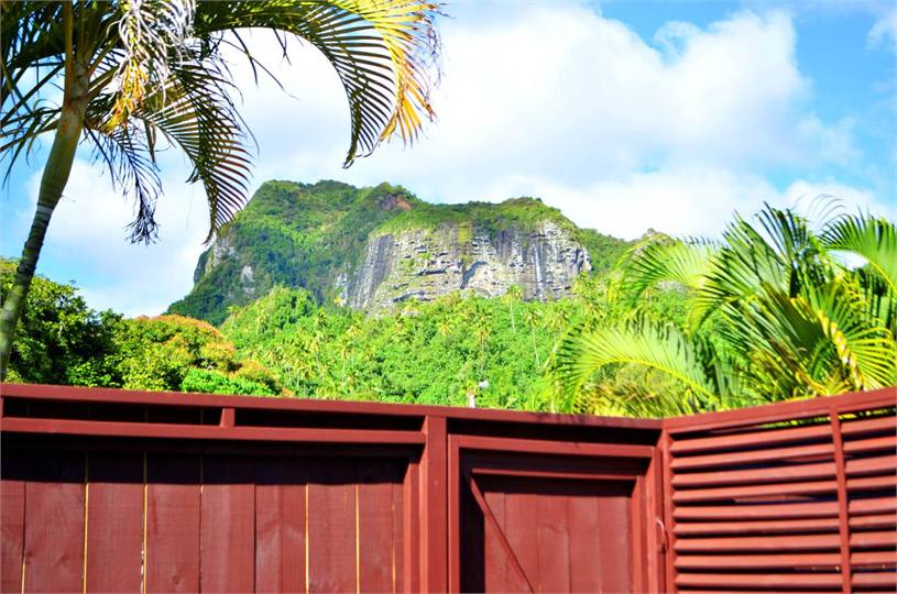 View from back porch