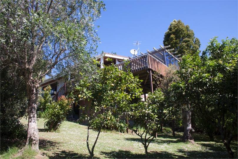 The house from the bottom of the yard