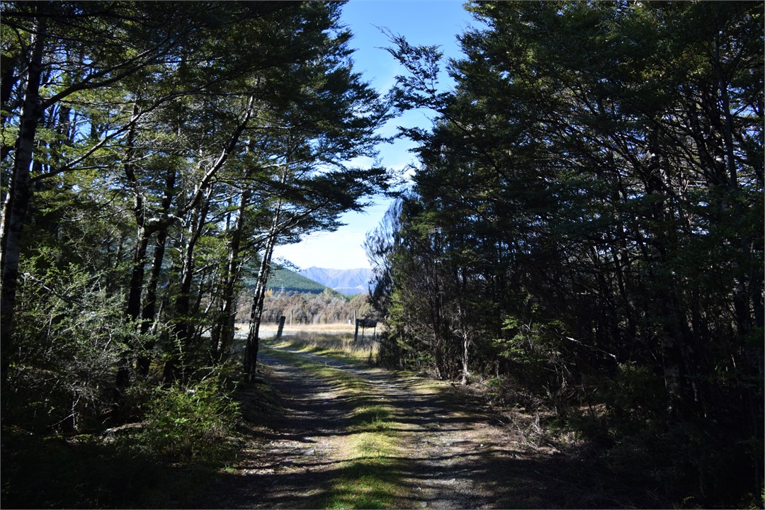 Driveway looking out towards the road