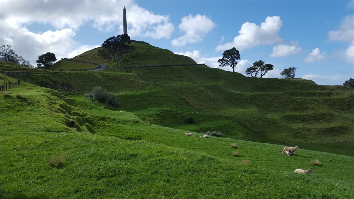 One Tree Hill (1/2 hour walk)