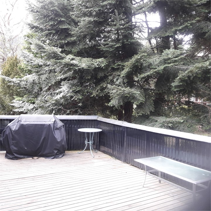 outside back deck with bbq