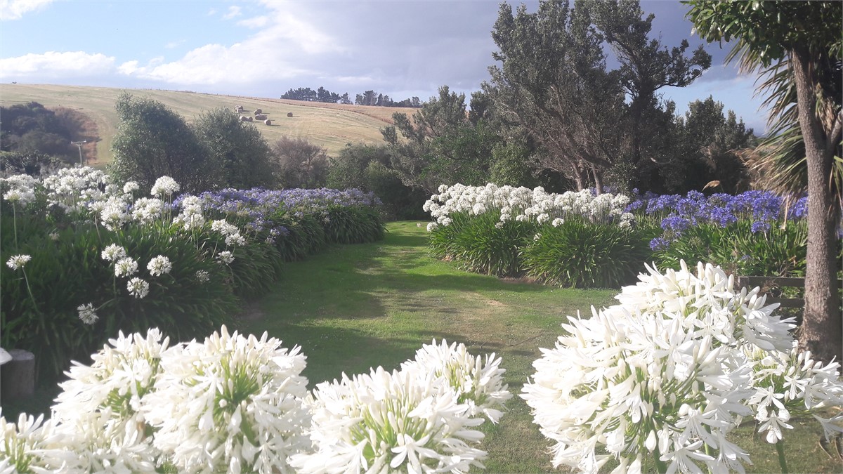 Rural view from the deck