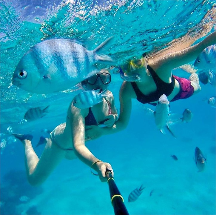 so much to explore in the lagoon, bring the Go Pro