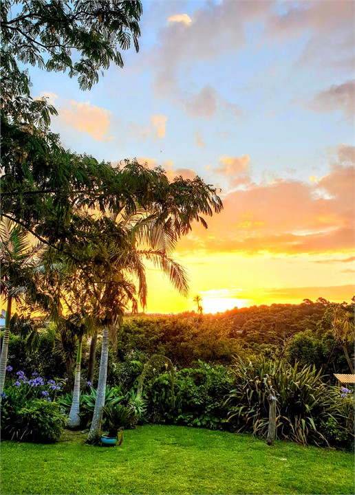 rear garden sunset