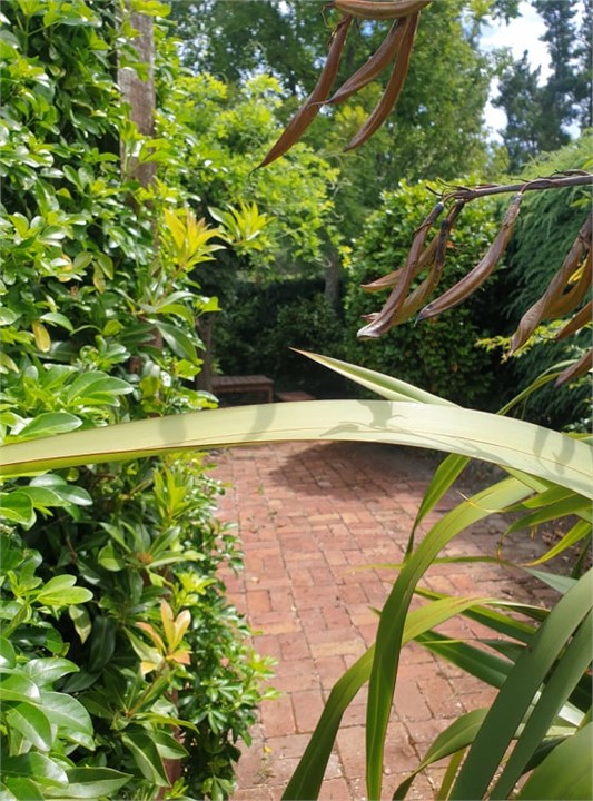 Private courtyard and BBQ area