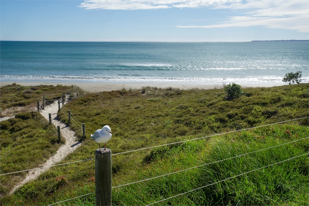 Papamoa Beach