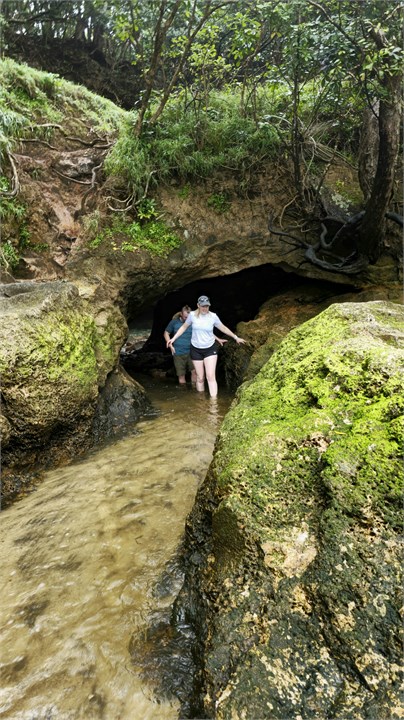 Adventure to the Blowhole!