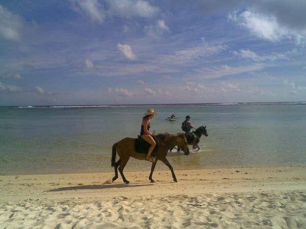 Horse riding along the beach
