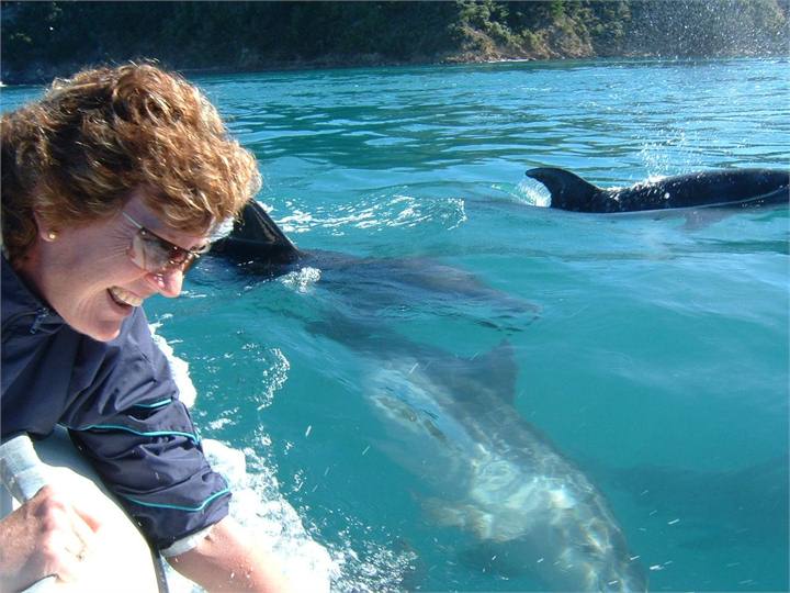 ecoSEAker Swimming with Dolphins Akaroa