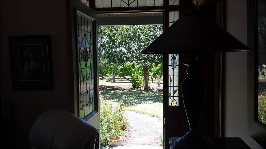 Looking through the front door to vineyard