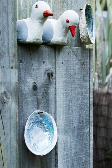 The Punakaiki Paua Palace sea gulls