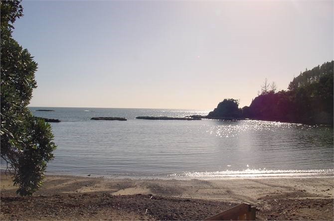 Enclosure Bay sunset