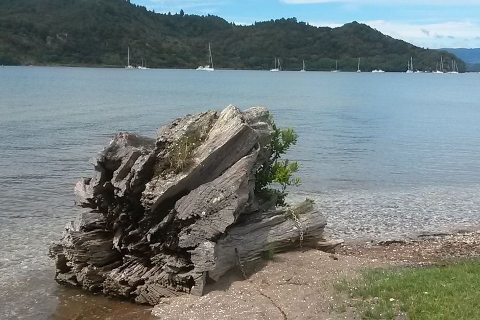 2 min walk to the  beautiful river side