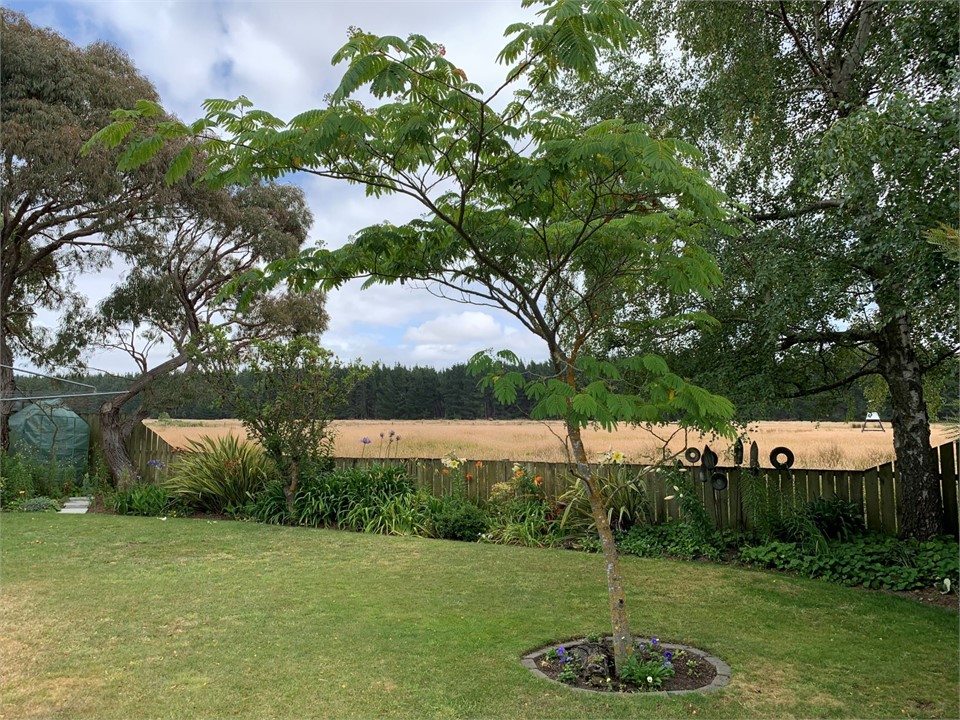 Relaxing country-style garden