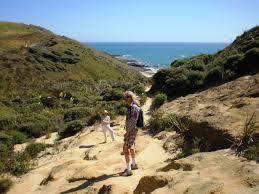 Waitemarama Falls Track