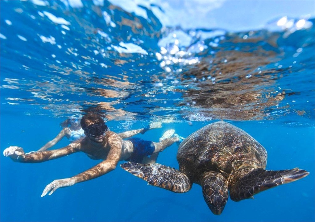 just a two minute drive to the famous turtle tour 