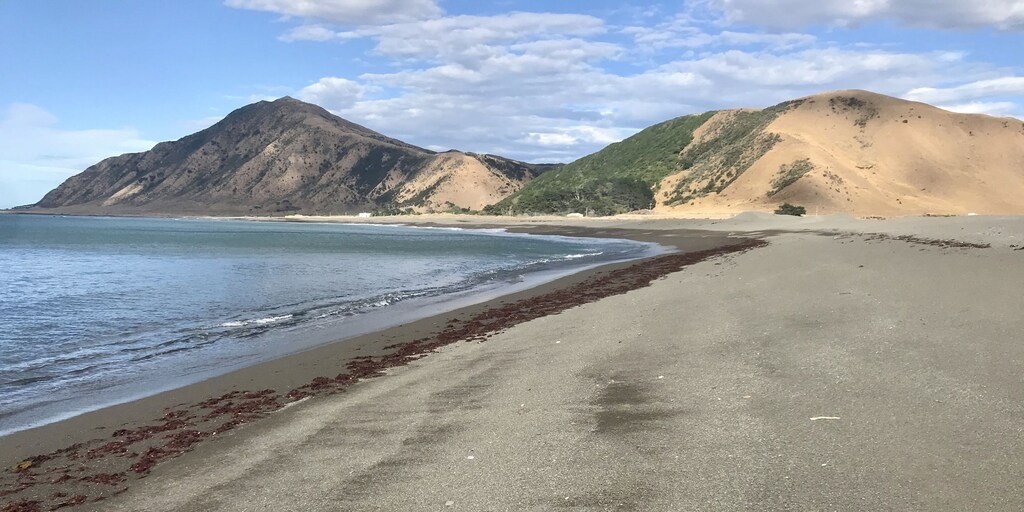 local Tora Beach - 10 minute walk from bach