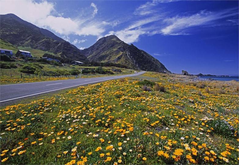 From roadside looking towards Kupe Sail rock.