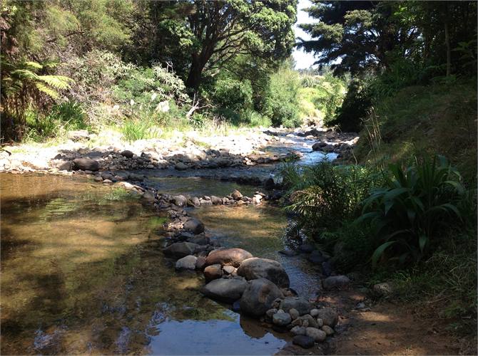 River on back section