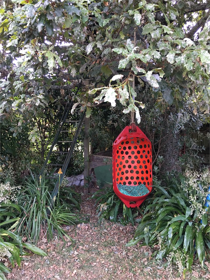 Back garden tree house & hanging chair