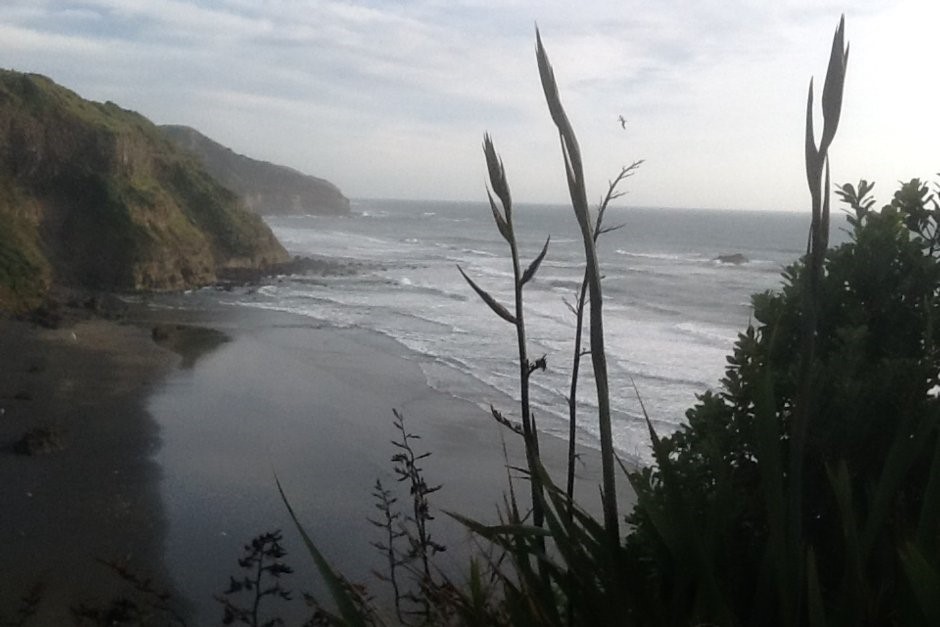 Muriwai Beach.