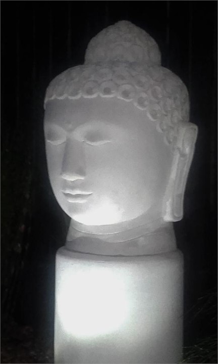 One of our garden features at night