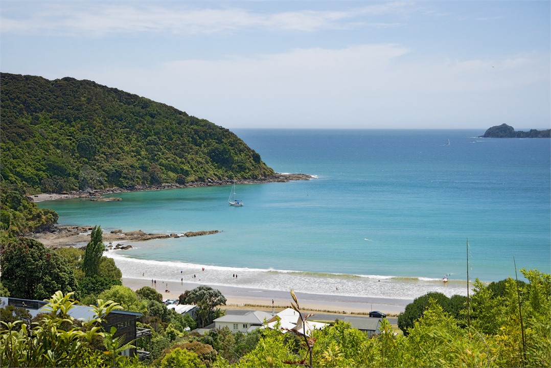 The view from Sunrise View