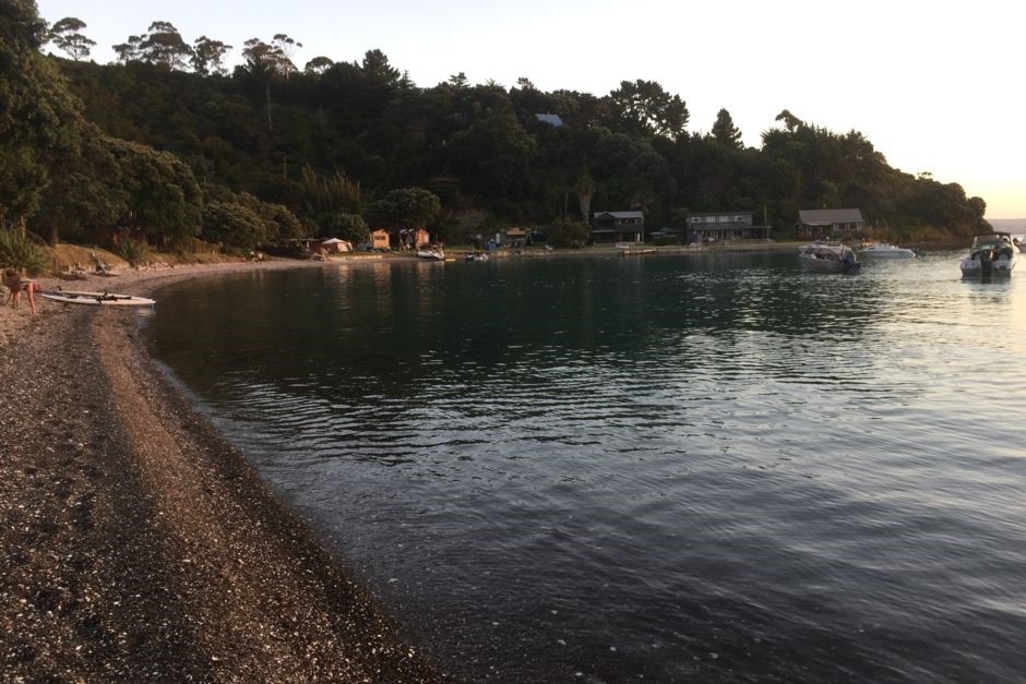 Swimming in the bay 80 m from the gate