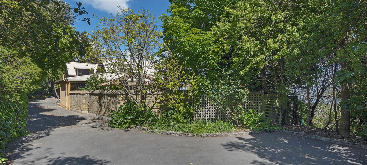 Driveway to the property