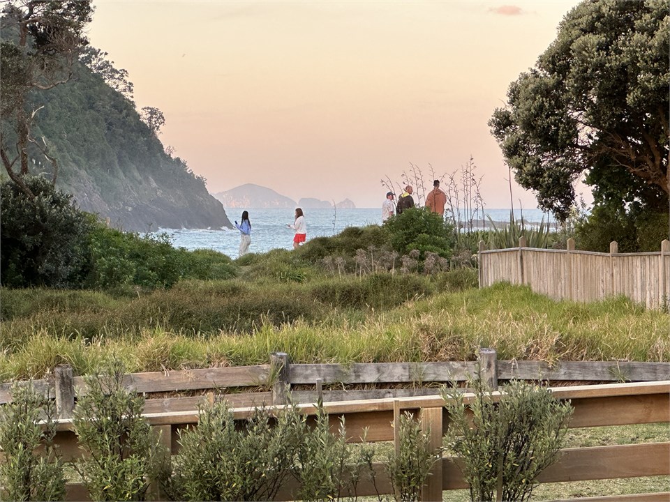 Picturesque reserve to beach