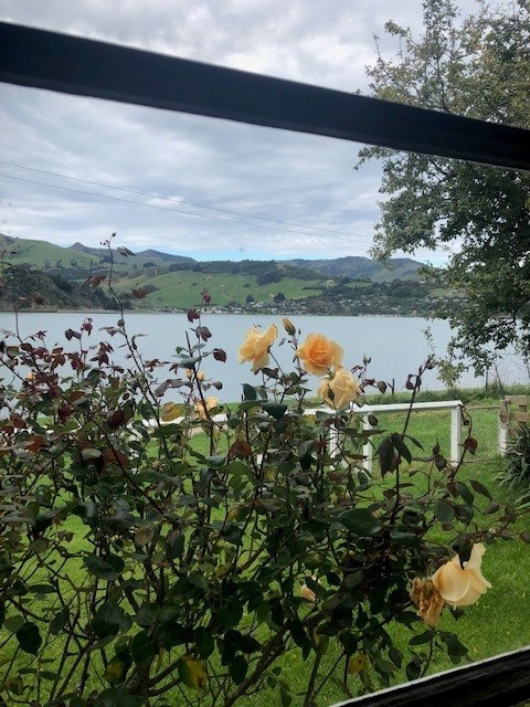 Master bedroom window