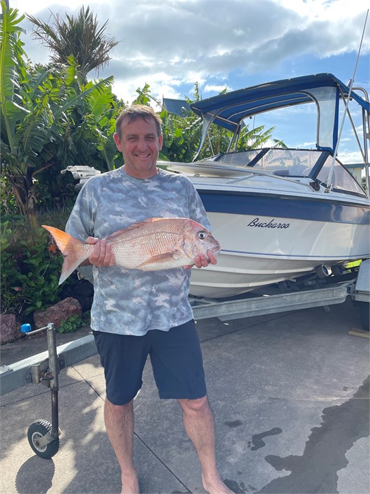 Plenty of Snapper