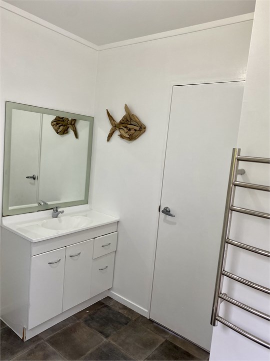 Downstairs bathroom view 2