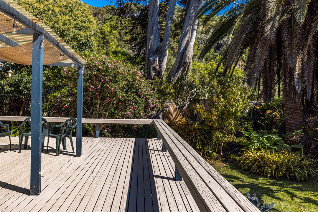 View if the native bush