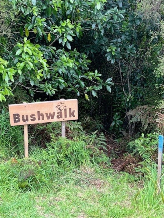 Private bush track from the property