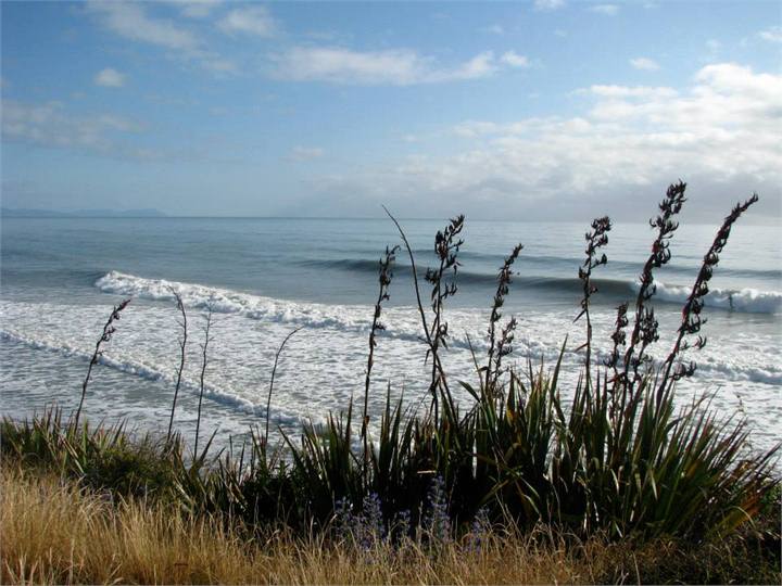 Surfs up! Just metres away.