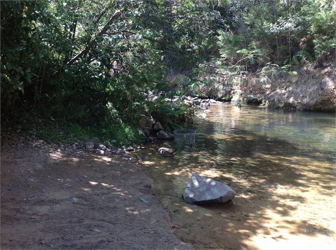 Perfect for kids to paddle