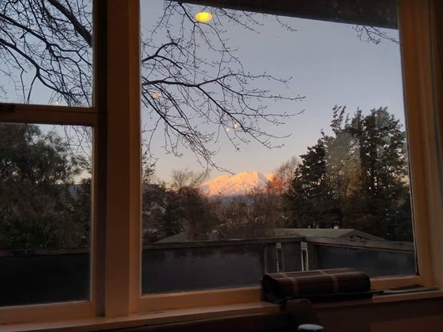 View from Dining Room