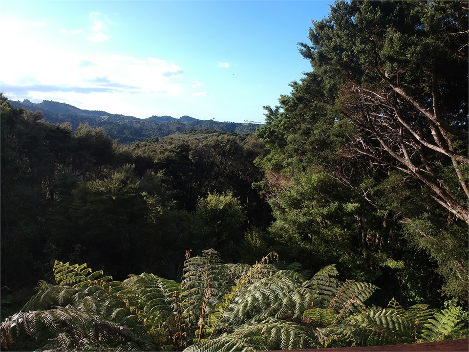 Waiotoi - The Veranda View