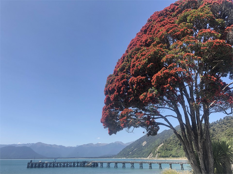 Jackson Wharf Jan 20