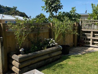 Vegetable garden front of deck