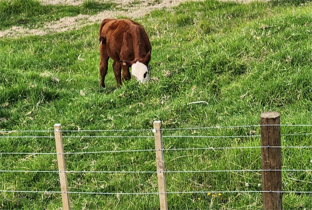 You never know when two of these might appear alon