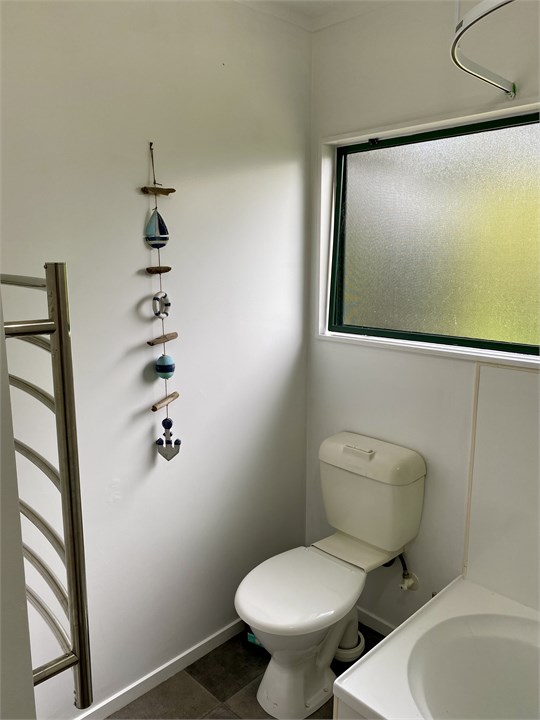 Downstairs bathroom view 3