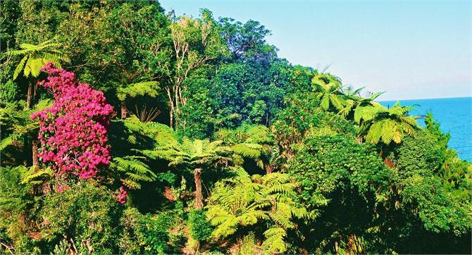 HM Bay bush - October