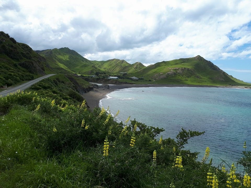 View approach to Te Awaiti Station