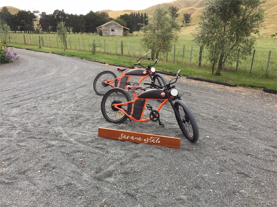 These electric bikes can be hired